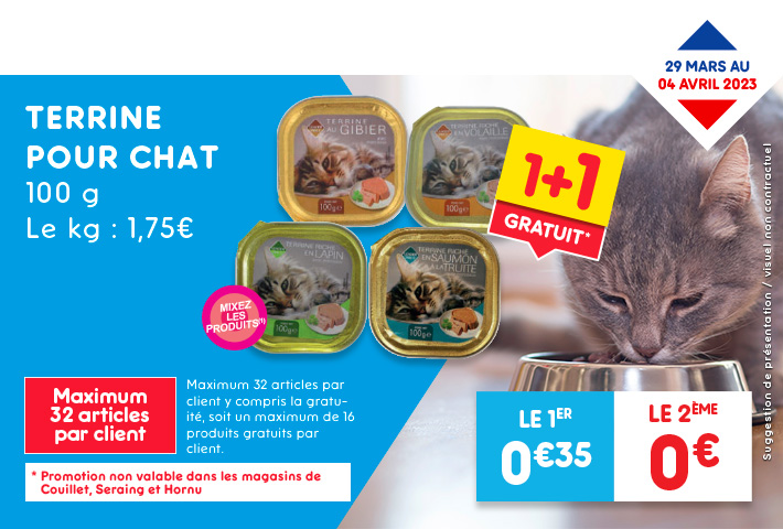 Terrine pour chat